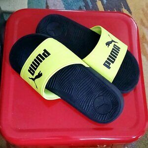 9.5" long PUMA Slides